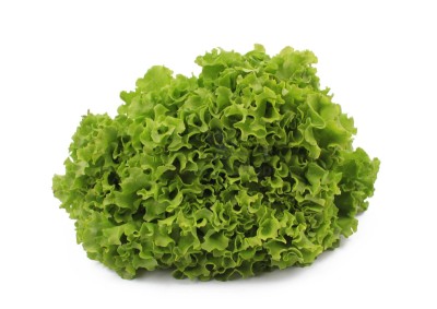 Салат айсберг 300 г - купить в Каразыбаше